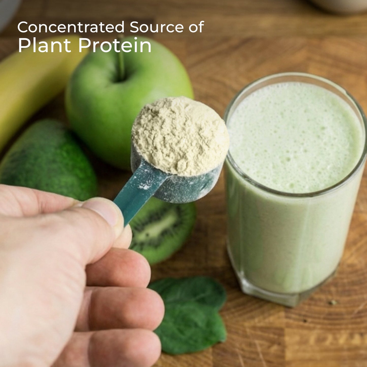 Organic Pea Protein Isolate